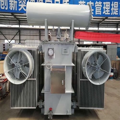 赣州S20-8000KVA变压器